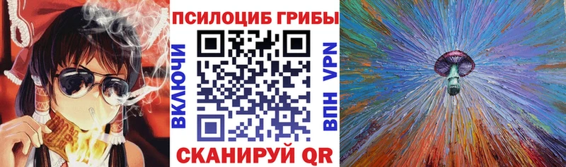 как найти закладки  Полтавская  omg ONION  Галлюциногенные грибы Cubensis 